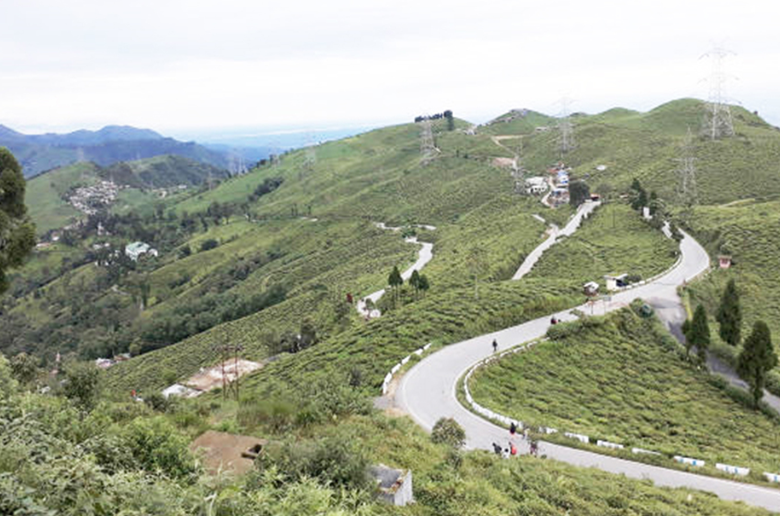 Darjeeling - Singla